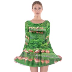 Flamingos Nature Green Pink Long Sleeve Skater Dress by yoursparklingshop