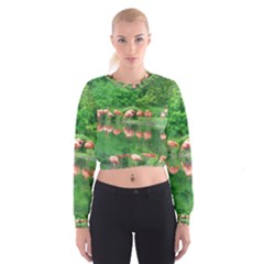 Flamingos Nature Green Pink Women s Cropped Sweatshirt