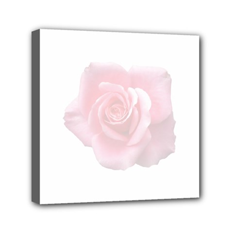 Pink White Love Rose Mini Canvas 6  X 6  by yoursparklingshop