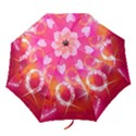 Love Folding Umbrellas View1