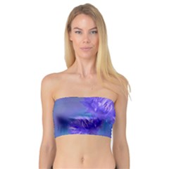 Purple Cornflower Floral  Bandeau Top