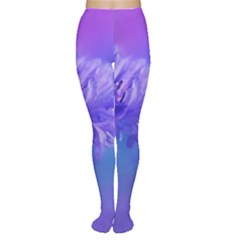 Purple Cornflower Floral  Women s Tights