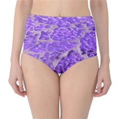 Festive Chic Purple Stone Glitter  High-Waist Bikini Bottoms