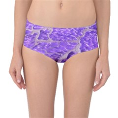 Festive Chic Purple Stone Glitter  Mid-Waist Bikini Bottoms