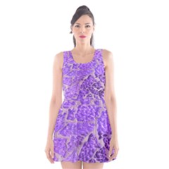 Festive Chic Purple Stone Glitter  Scoop Neck Skater Dress