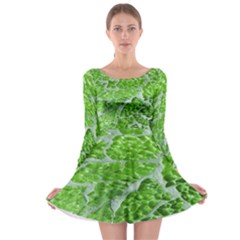 Festive Chic Green Glitter Shiny Glamour Sparkles Long Sleeve Skater Dress by yoursparklingshop