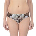 Tropical Sea Shells Collection, Copper Background Hipster Bikini Bottoms View1