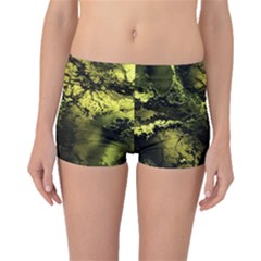 Amazing Fractal 24 Boyleg Bikini Bottoms by Fractalworld