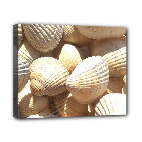 Tropical Exotic Sea Shells Canvas 10  X 8  by yoursparklingshop