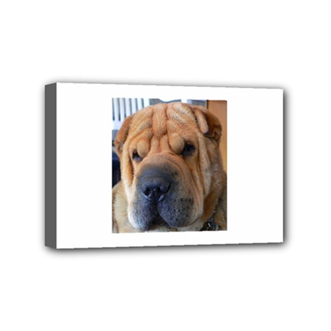 Shar Pei / Chinese Shar Pei Mini Canvas 6  x 4 