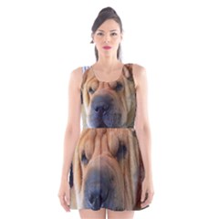 Shar Pei / Chinese Shar Pei Scoop Neck Skater Dress