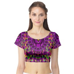 Love For The Fruit And Stars In The Milky Way Short Sleeve Crop Top (tight Fit) by pepitasart