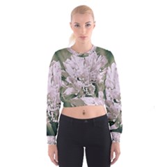 White Flower Women s Cropped Sweatshirt