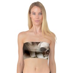 Skull Magic Bandeau Top by icarusismartdesigns