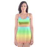 Rainbow Stripes Skater Dress Swimsuit