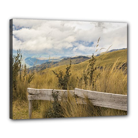 Trekking Road At Andes Range In Quito Ecuador  Canvas 20  X 16  by dflcprints