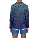 Blue Ombre Feather Pattern, Black,  Kid s Long Sleeve Swimwear View2