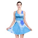 Powder Blue And Indigo Sky Pillow Reversible Skater Dress View1