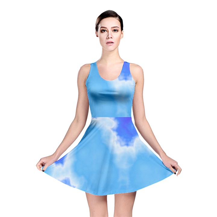 Powder Blue And Indigo Sky Pillow Reversible Skater Dress