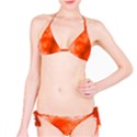 Orange Essence  Bikini Set View1