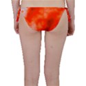 Orange Essence  Bikini Bottom View2