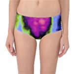Insane Color Mid-Waist Bikini Bottoms