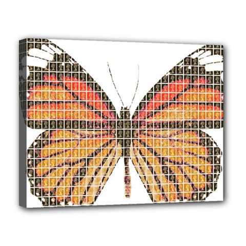 Butterfly Canvas 14  X 11 