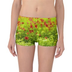 Poppy I Boyleg Bikini Bottoms