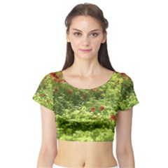 Poppy V Short Sleeve Crop Top (tight Fit) by colorfulartwork