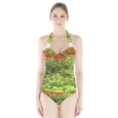 Poppy V Women s Halter One Piece Swimsuit by colorfulartwork