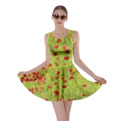 Poppy Viii Skater Dress by colorfulartwork