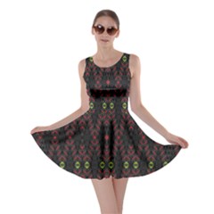 Blax In Color Skater Dress