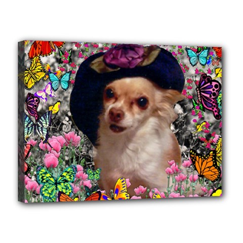 Chi Chi In Butterflies, Chihuahua Dog In Cute Hat Canvas 16  X 12  by DianeClancy