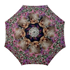 Chi Chi In Flowers, Chihuahua Puppy In Cute Hat Golf Umbrellas by DianeClancy