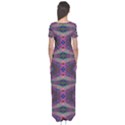 S PARKS O N I C E Short Sleeve Maxi Dress View2