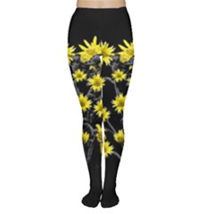 Sunflowers Over Black Women s Tights by dflcprintsclothing