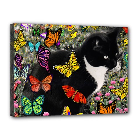 Freckles In Butterflies I, Black White Tux Cat Canvas 16  X 12  by DianeClancy