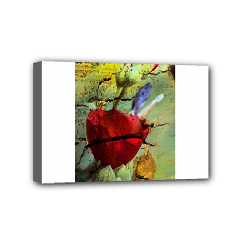 Rusty Globe Mallow Flower Mini Canvas 6  X 4  by MichaelMoriartyPhotography