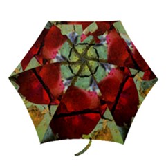 Rusty Globe Mallow Flower Mini Folding Umbrellas by MichaelMoriartyPhotography