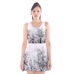 Tree Tops Scoop Neck Skater Dress