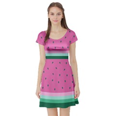 Watermelon Short Sleeve Skater Dress by olgart