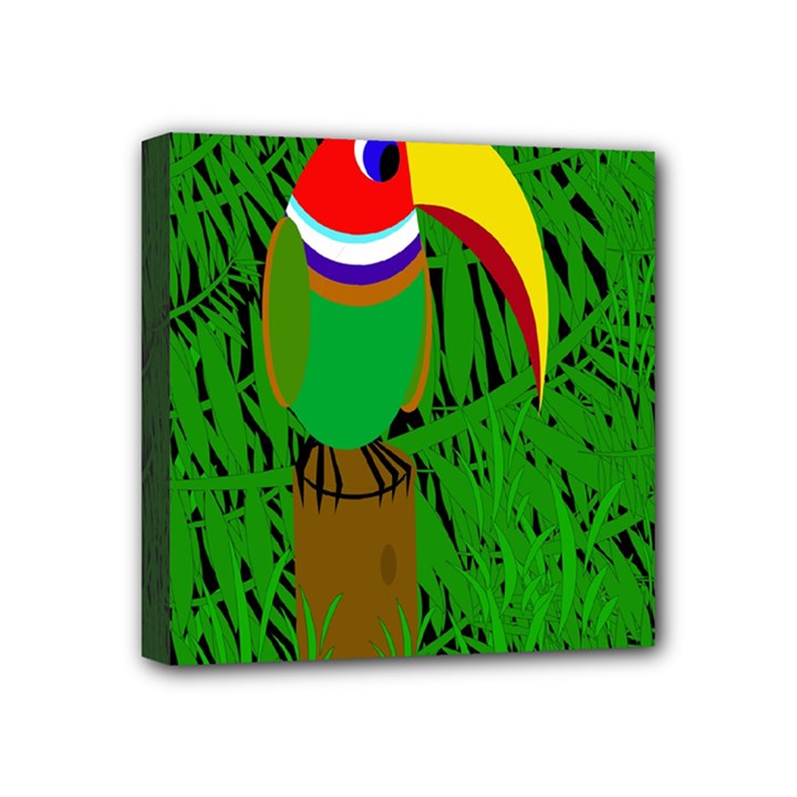 Toucan Mini Canvas 4  x 4 