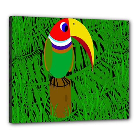 Toucan Canvas 24  X 20  by Valentinaart