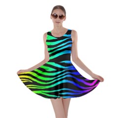 Rainbow Zebra Skater Dress by ArtistRoseanneJones