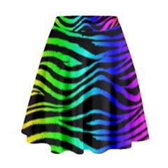Rainbow Zebra High Waist Skirt by ArtistRoseanneJones