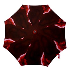Crimson Sky Hook Handle Umbrellas (medium) by TRENDYcouture