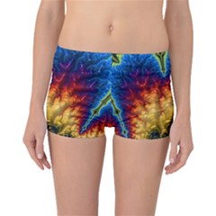 Amazing Special Fractal 25a Boyleg Bikini Bottoms by Fractalworld