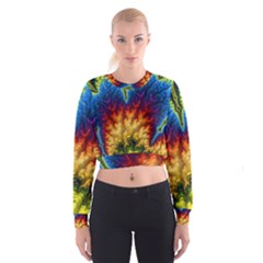 Amazing Special Fractal 25a Women s Cropped Sweatshirt