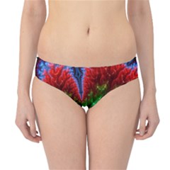 Amazing Special Fractal 25b Hipster Bikini Bottoms by Fractalworld