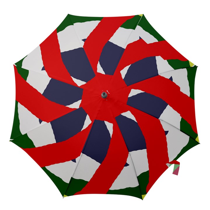 Beautiful abstraction Hook Handle Umbrellas (Large)